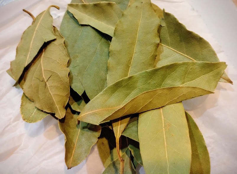 Bay Leaf