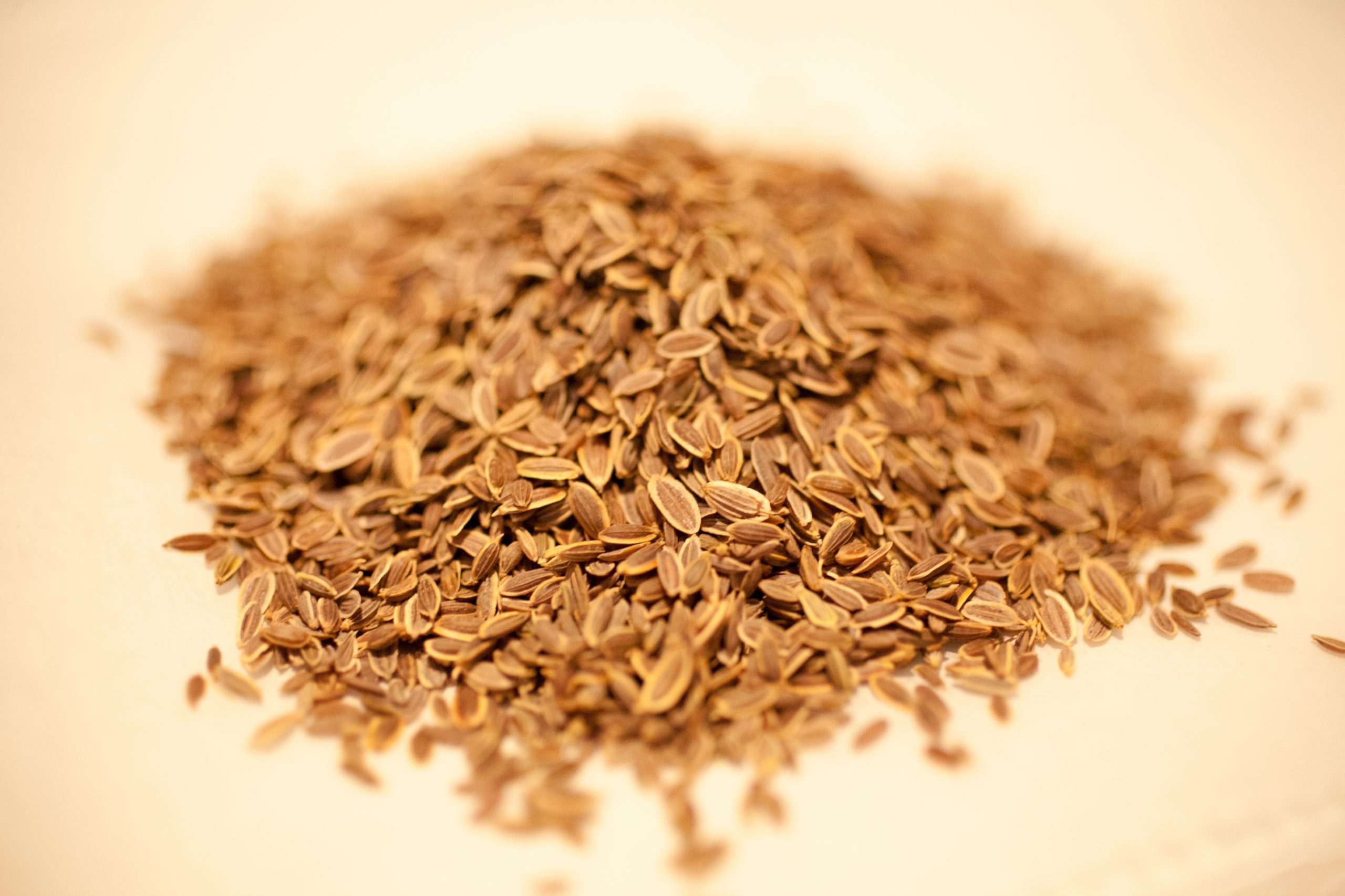 Dill Seed