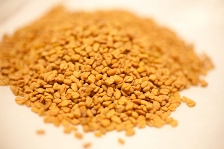 Fenugreek