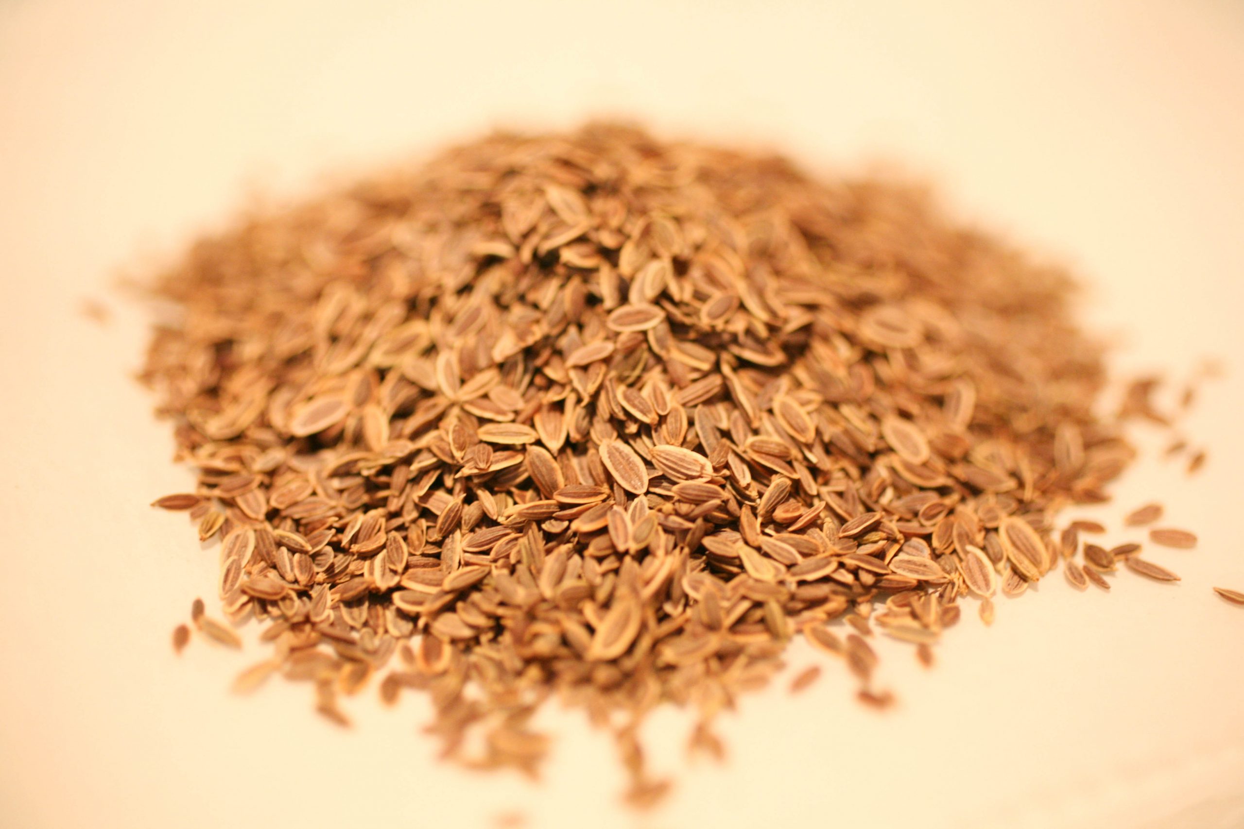 Cumin Seed (Whole)