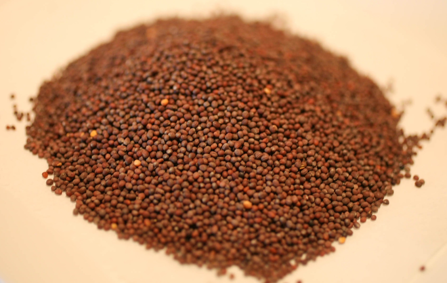 Brown Mustard Seed (Whole)